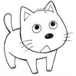 test-jetton